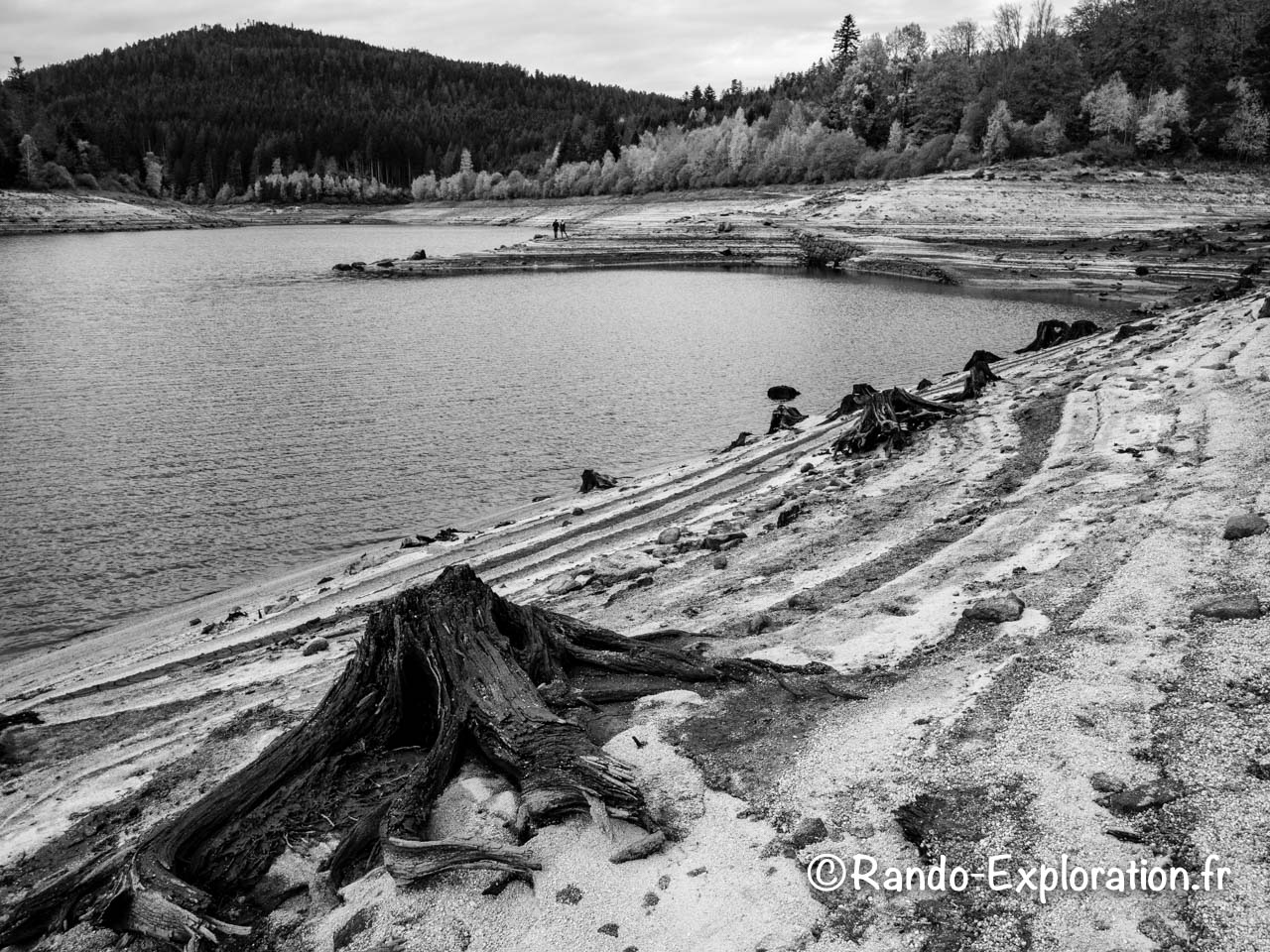 Lac de barrage en Forêt Noire, photo Noir & Blanc