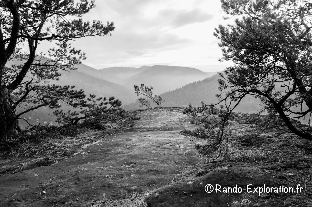 Belvedère naturel sur une vallée des Vosges