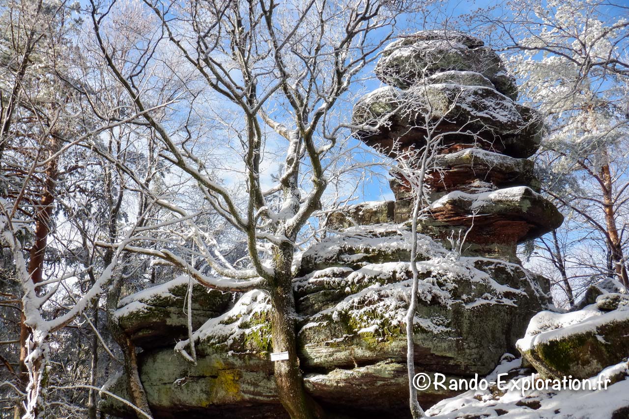 Rocher sculpté dans le grés rose des Vosges