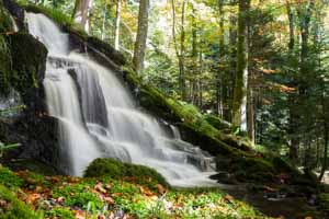 cascade des Vosges