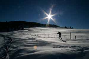Skieur sur les crêtes vosgiennes