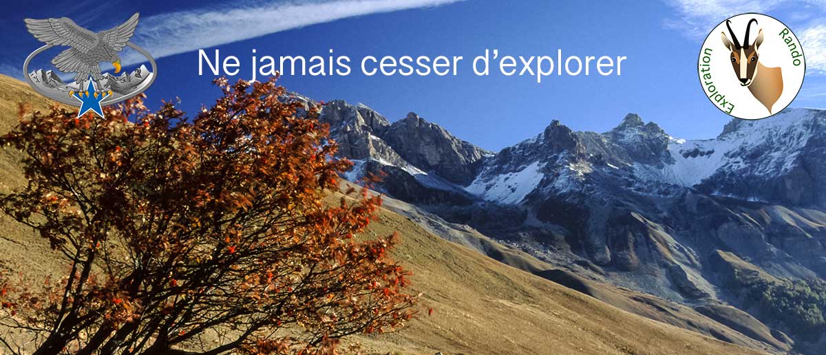 Erable en automne dans les Alpes