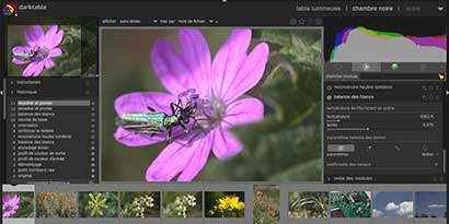 Logiciel de développement d'images