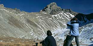 Observation de bouquetins dans le massif des Cerces