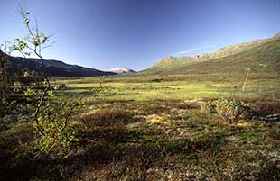 paysage de toundra