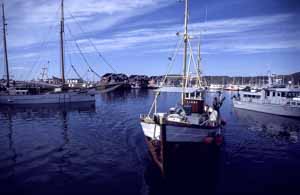 un chalutier entre dans le port