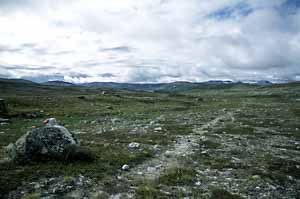 tundra entre Bleiknesmo et le Nordre Bjøllåvatnet