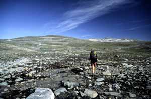 paysage de tundra