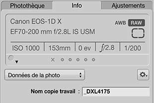 panneau des métadonnées dans Apple Aperture®
