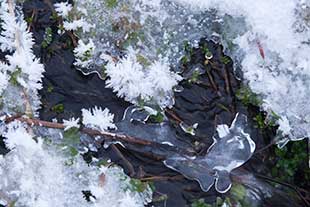 photo de givre et glace sur un ruisseau
