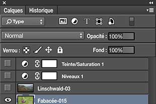 boîte de dialogue calques dans Adobe Photoshop®