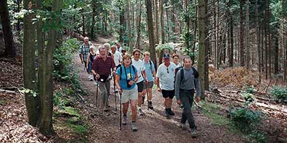 randonnée en forêt