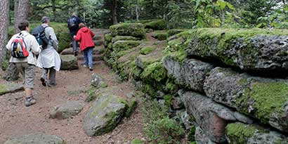 randonnée le long du Mur Païen du Mont Sainte Odile