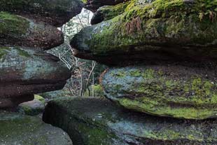 Rochers du mont Sainte Odile